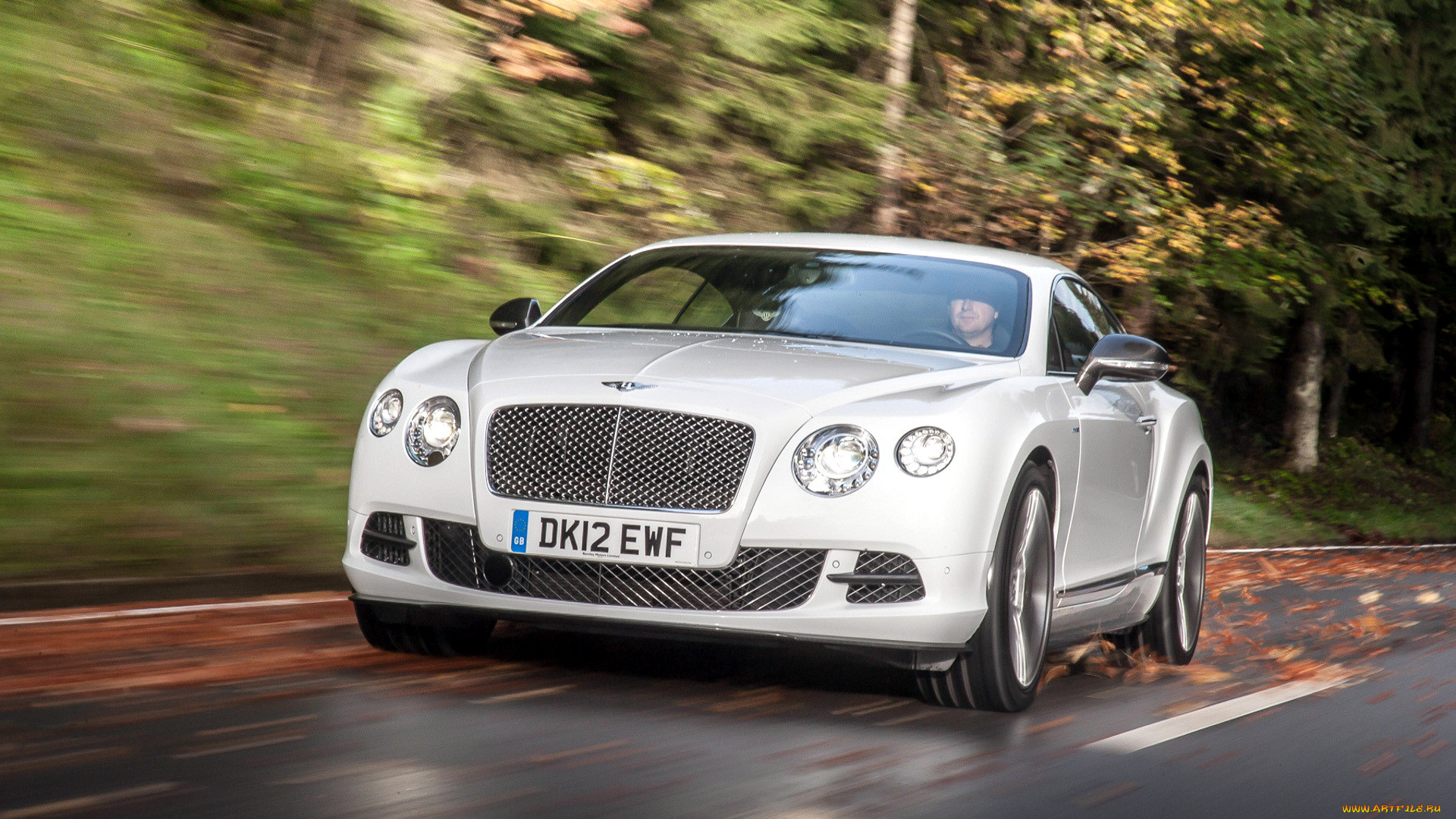 bentley, continental, , , , , , 